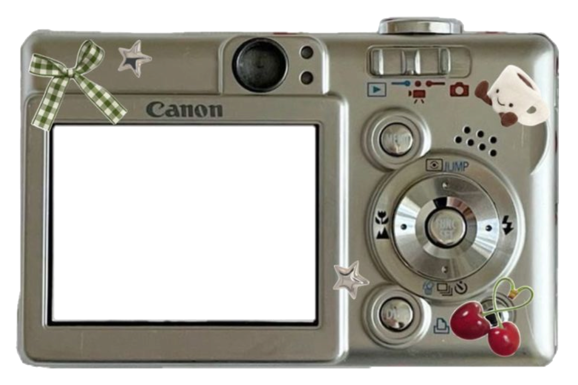 Camera overlay